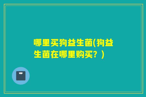 哪里买狗益生菌(狗益生菌在哪里购买？)