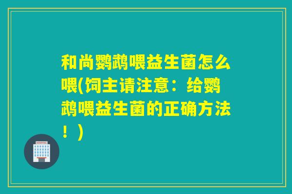 和尚鹦鹉喂益生菌怎么喂(饲主请注意：给鹦鹉喂益生菌的正确方法！)