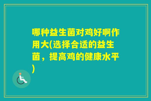 哪种益生菌对鸡好啊作用大(选择合适的益生菌，提高鸡的健康水平)