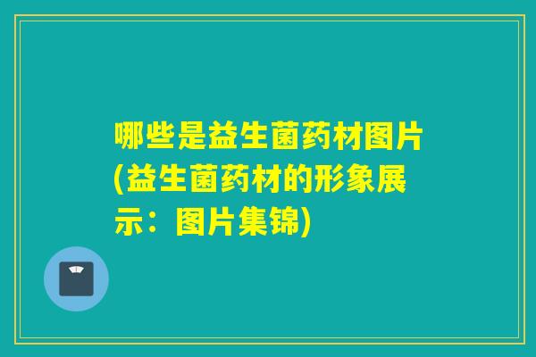 哪些是益生菌药材图片(益生菌药材的形象展示：图片集锦)