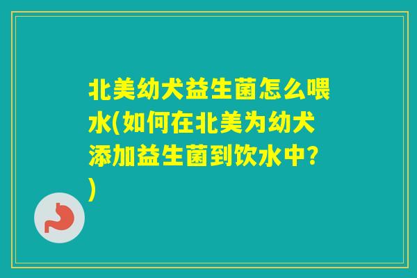 北美幼犬益生菌怎么喂水(如何在北美为幼犬添加益生菌到饮水中？)