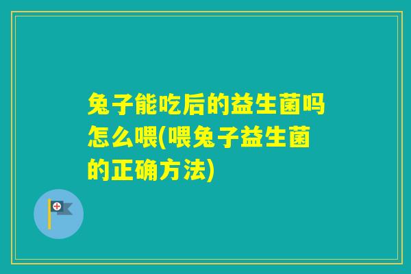 兔子能吃后的益生菌吗怎么喂(喂兔子益生菌的正确方法)