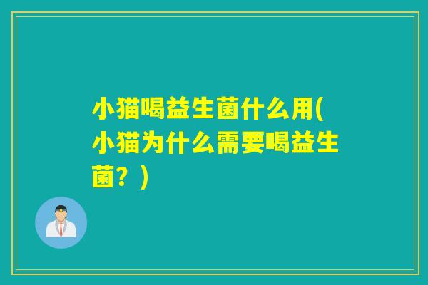 小猫喝益生菌什么用(小猫为什么需要喝益生菌？)