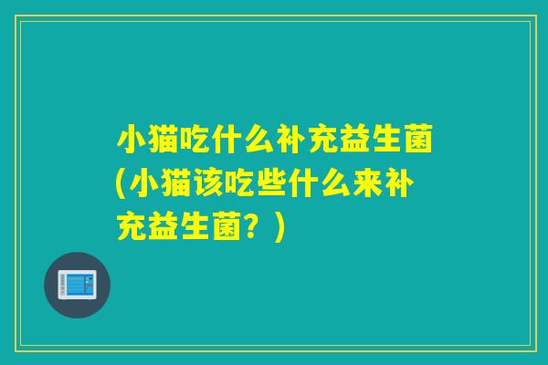 小猫吃什么补充益生菌(小猫该吃些什么来补充益生菌?) 小猫吃什么补充益生菌(小猫该吃些什么来补充益生菌?)
