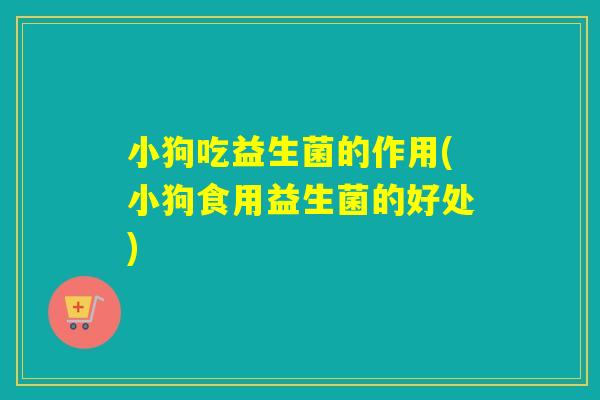 小狗吃益生菌的作用(小狗食用益生菌的好处) 小狗吃益生菌的作用(小狗食用益生菌的好处)