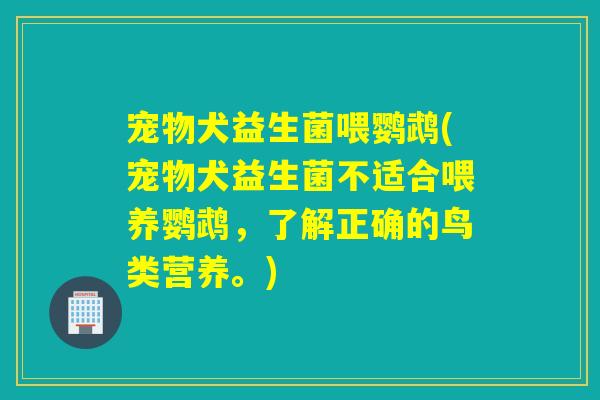 宠物犬益生菌喂鹦鹉(宠物犬益生菌不适合喂养鹦鹉，了解正确的鸟类营养。)