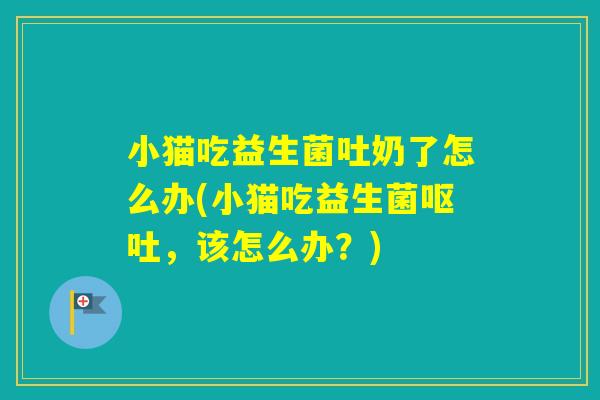 小猫吃益生菌吐奶了怎么办(小猫吃益生菌，该怎么办？)