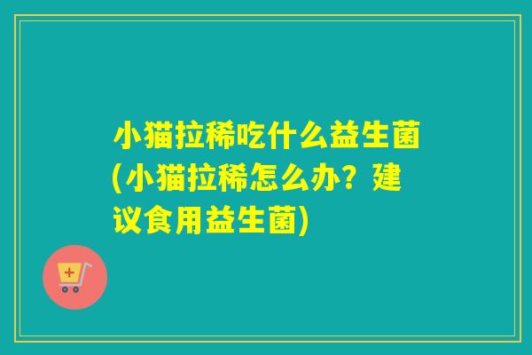小猫拉稀吃什么益生菌(小猫拉稀怎么办？建议食用益生菌)