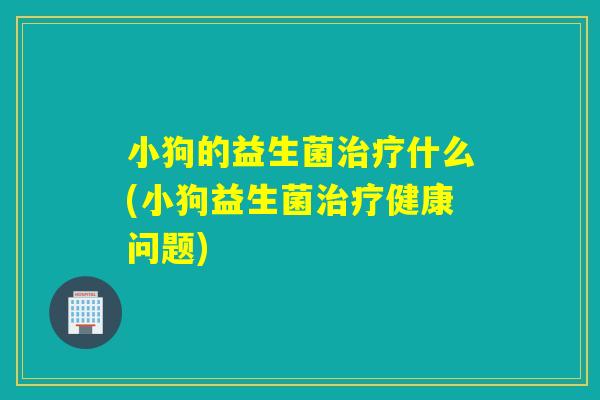 小狗的益生菌什么(小狗益生菌健康问题)