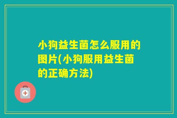 小狗益生菌怎么服用的图片(小狗服用益生菌的正确方法)