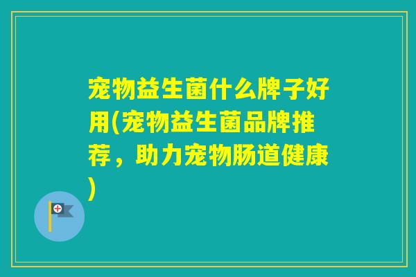 宠物益生菌什么牌子好用(宠物益生菌品牌推荐，助力宠物肠道健康)