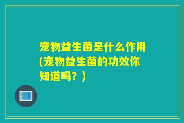 宠物益生菌是什么作用(宠物益生菌的功效你知道吗？)