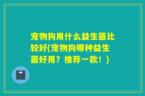 宠物狗用什么益生菌比较好(宠物狗哪种益生菌好用？推荐一款！)