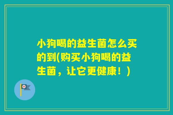 小狗喝的益生菌怎么买的到(购买小狗喝的益生菌，让它更健康！)