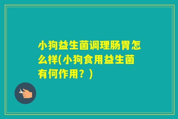小狗益生菌调理肠胃怎么样(小狗食用益生菌有何作用?) 小狗益生菌调理肠胃怎么样(小狗食用益生菌有何作用?)