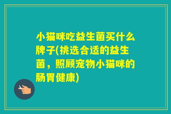 小猫咪吃益生菌买什么牌子(挑选合适的益生菌,照顾宠物小猫咪的肠胃健康) 小猫咪吃益生菌买什么牌子(挑选合适的益生菌,照顾宠物小猫咪的肠胃健康)