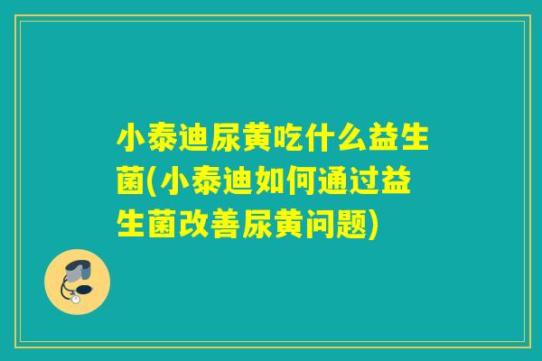 小泰迪尿黄吃什么益生菌(小泰迪如何通过益生菌改善尿黄问题) 小泰迪尿黄吃什么益生菌(小泰迪如何通过益生菌改善尿黄问题)