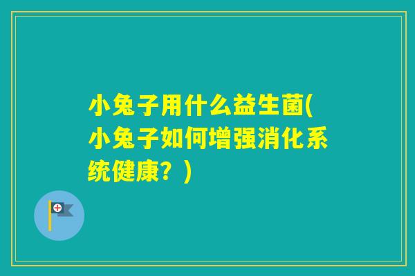 小兔子用什么益生菌(小兔子如何增强消化系统健康？)