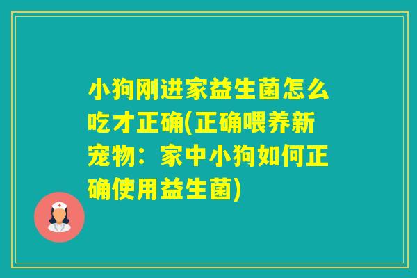 小狗刚进家益生菌怎么吃才正确(正确喂养新宠物：家中小狗如何正确使用益生菌)