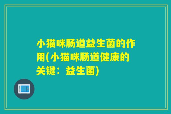 小猫咪肠道益生菌的作用(小猫咪肠道健康的关键：益生菌)