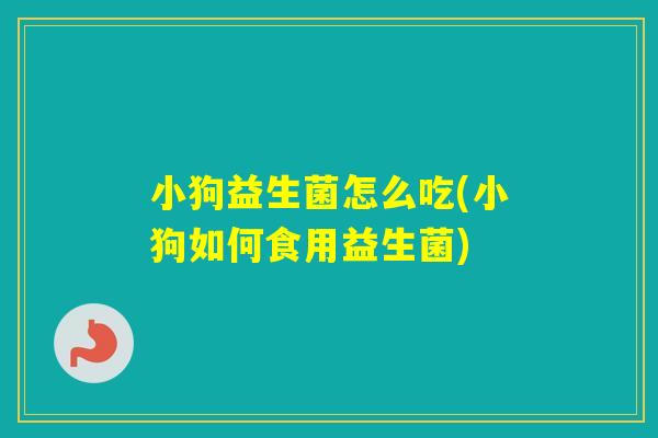 小狗益生菌怎么吃(小狗如何食用益生菌)