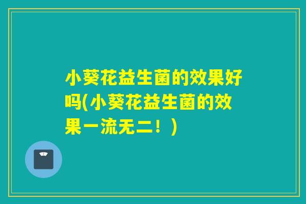 小葵花益生菌的效果好吗(小葵花益生菌的效果一流无二！)