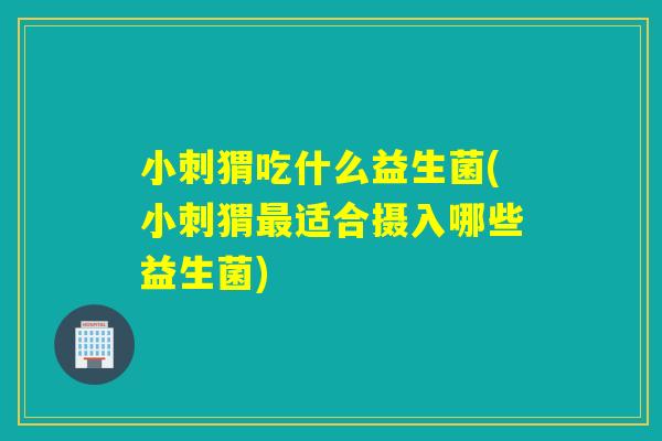 小刺猬吃什么益生菌(小刺猬适合摄入哪些益生菌)