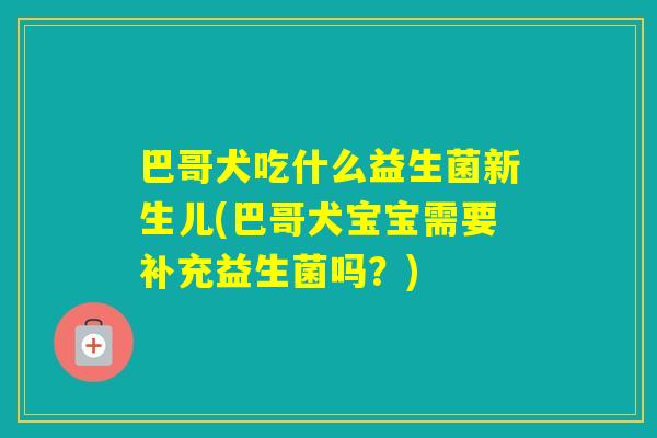 巴哥犬吃什么益生菌新生儿(巴哥犬宝宝需要补充益生菌吗？)