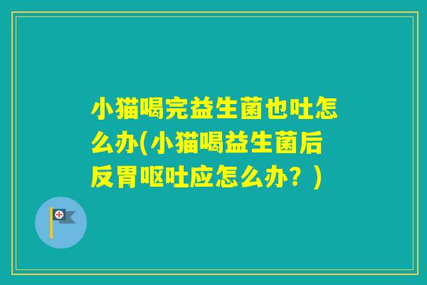小猫喝完益生菌也吐怎么办(小猫喝益生菌后反胃应怎么办？)