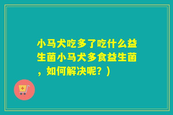 小马犬吃多了吃什么益生菌小马犬多食益生菌，如何解决呢？)