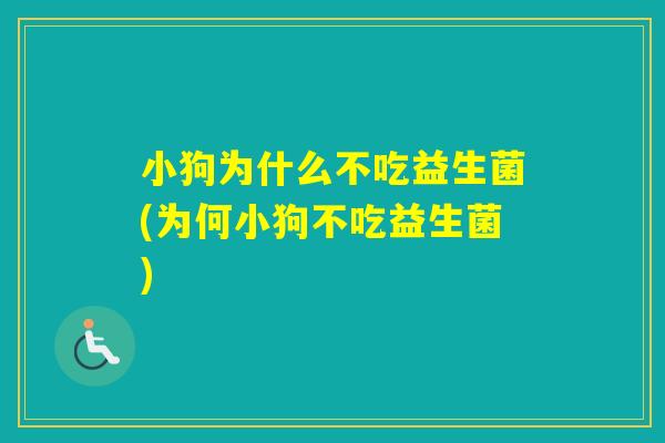 小狗为什么不吃益生菌(为何小狗不吃益生菌)