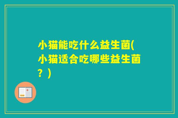 小猫能吃什么益生菌(小猫适合吃哪些益生菌？)