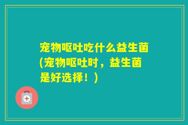 宠物吃什么益生菌(宠物时，益生菌是好选择！)