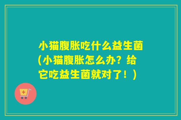 小猫吃什么益生菌(小猫怎么办？给它吃益生菌就对了！)