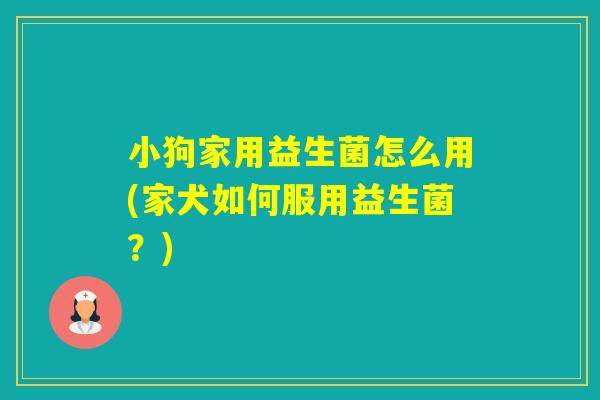 小狗家用益生菌怎么用(家犬如何服用益生菌?) 小狗家用益生菌怎么用(家犬如何服用益生菌?)