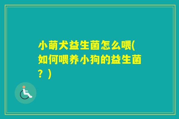 小萌犬益生菌怎么喂(如何喂养小狗的益生菌？)