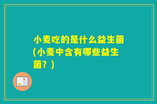 小麦吃的是什么益生菌(小麦中含有哪些益生菌？)