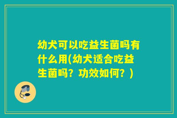 幼犬可以吃益生菌吗有什么用(幼犬适合吃益生菌吗？功效如何？)