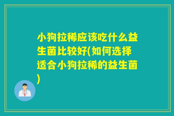 小狗拉稀应该吃什么益生菌比较好(如何选择适合小狗拉稀的益生菌)