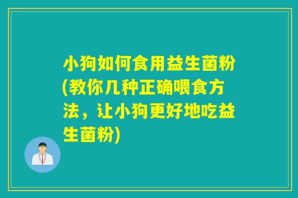 小狗如何食用益生菌粉(教你几种正确喂食方法，让小狗更好地吃益生菌粉)