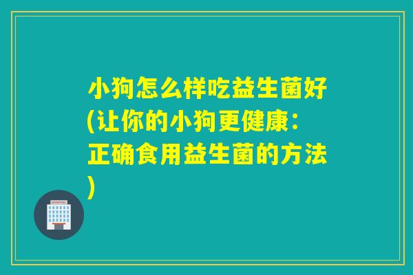 小狗怎么样吃益生菌好(让你的小狗更健康:正确食用益生菌的方法) 小狗怎么样吃益生菌好(让你的小狗更健康:正确食用益生菌的方法)