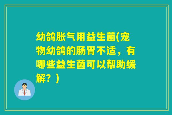 幼鸽用益生菌(宠物幼鸽的肠胃不适，有哪些益生菌可以帮助缓解？)