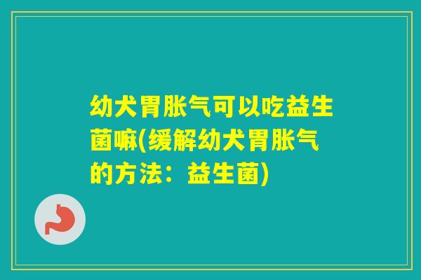 幼犬胃可以吃益生菌嘛(缓解幼犬胃的方法：益生菌)