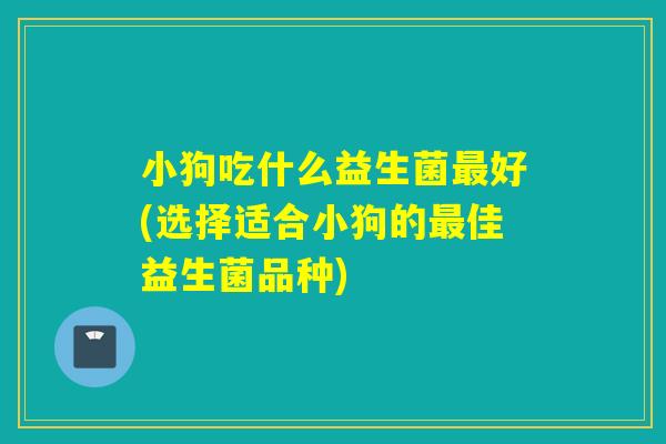 小狗吃什么益生菌好(选择适合小狗的佳益生菌品种)