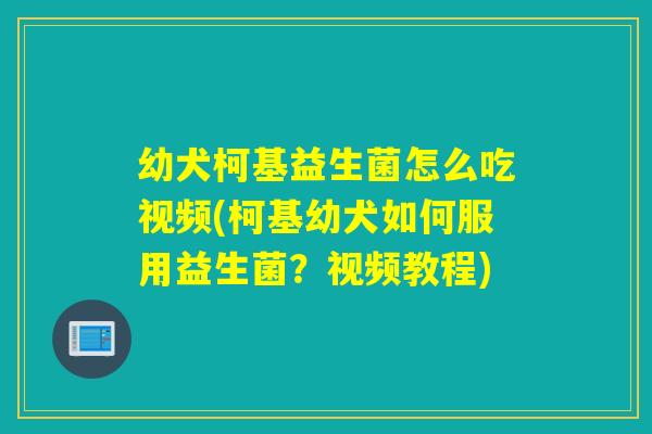幼犬柯基益生菌怎么吃视频(柯基幼犬如何服用益生菌？视频教程)