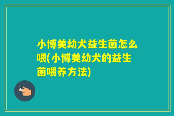 小博美幼犬益生菌怎么喂(小博美幼犬的益生菌喂养方法)
