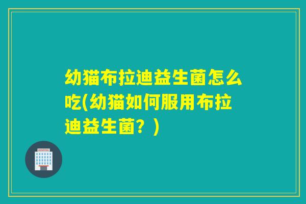 幼猫布拉迪益生菌怎么吃(幼猫如何服用布拉迪益生菌?) 幼猫布拉迪益生菌怎么吃(幼猫如何服用布拉迪益生菌?)