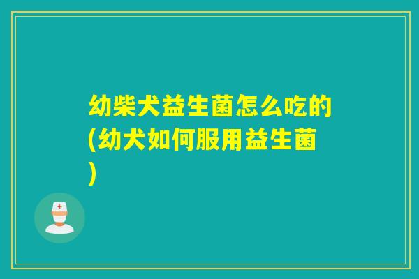 幼柴犬益生菌怎么吃的(幼犬如何服用益生菌) 幼柴犬益生菌怎么吃的(幼犬如何服用益生菌)