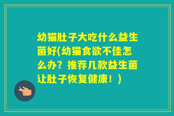 幼猫肚子大吃什么益生菌好(幼猫不佳怎么办？推荐几款益生菌让肚子恢复健康！)