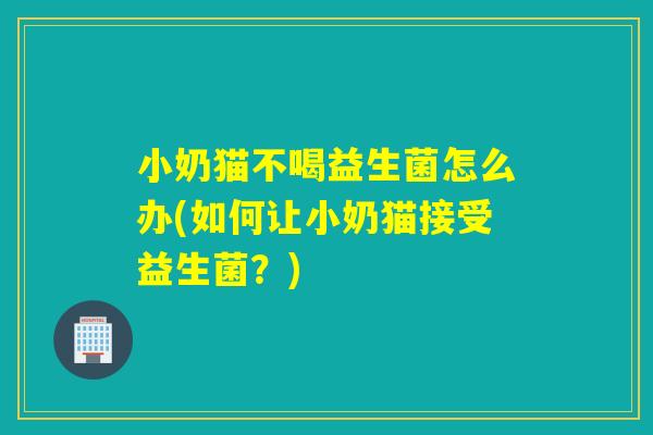 小奶猫不喝益生菌怎么办(如何让小奶猫接受益生菌?) 小奶猫不喝益生菌怎么办(如何让小奶猫接受益生菌?)